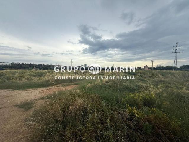 Terreno, Vilassar de Mar