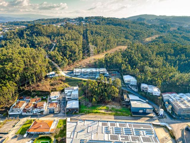 Terreno, Vilela