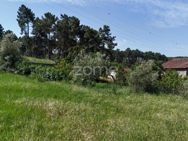 Terreno Vilela do Tâmega