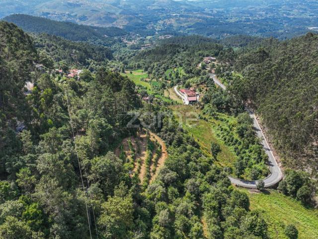Terreno, Vilela Seramil Paredes Secas