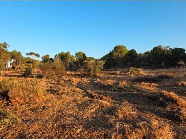 Terreno, Villablanca