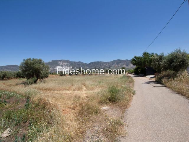 Terreno, Villamena