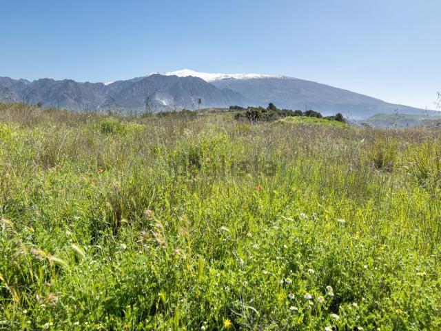 Terreno, Villamena