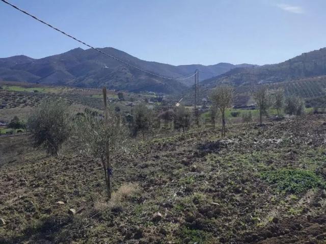 Terreno, Villanueva de la Concepcion