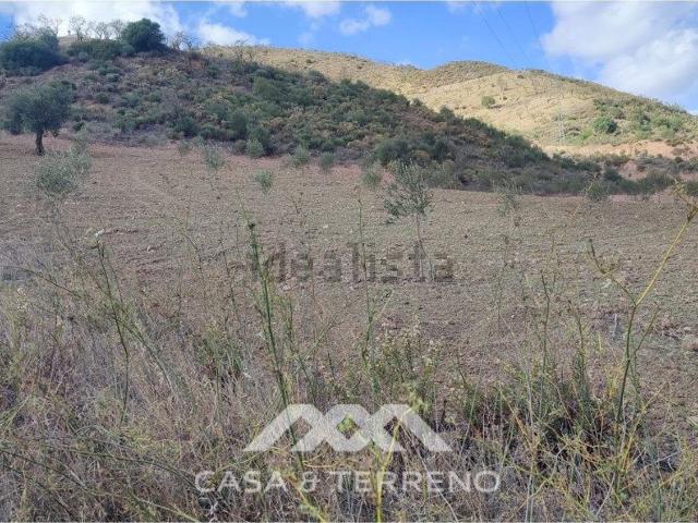 Terreno, Villanueva de la Concepcion