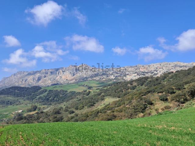 Terreno, Villanueva de la Concepcion