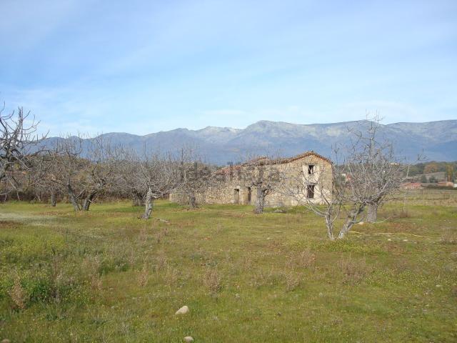 Terreno, Villanueva de la Vera