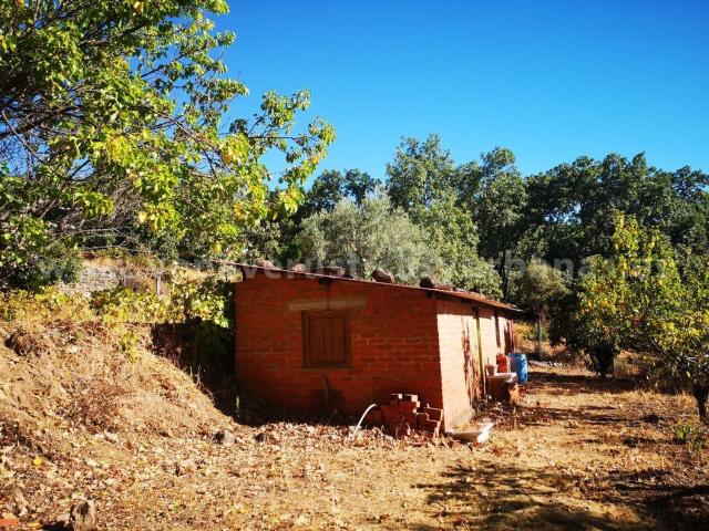 Terreno, Villanueva de la Vera