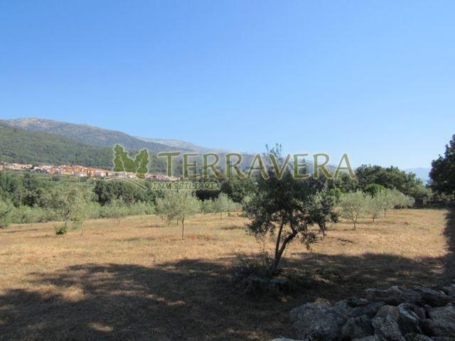 Terreno, Villanueva de la Vera