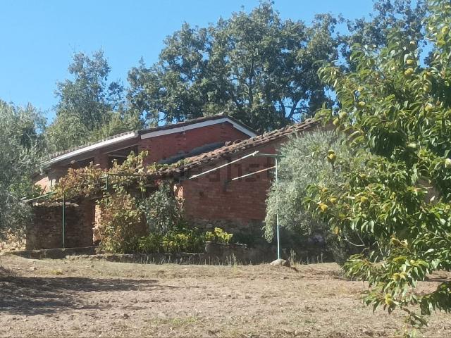 Terreno, Villanueva de la Vera