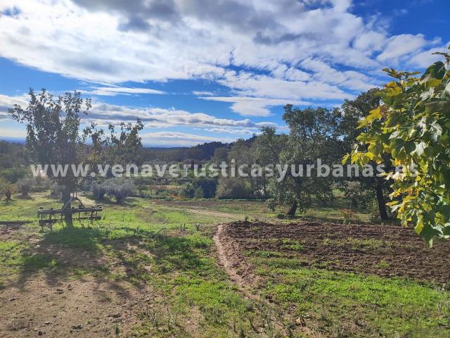 Terreno, Villanueva de la Vera