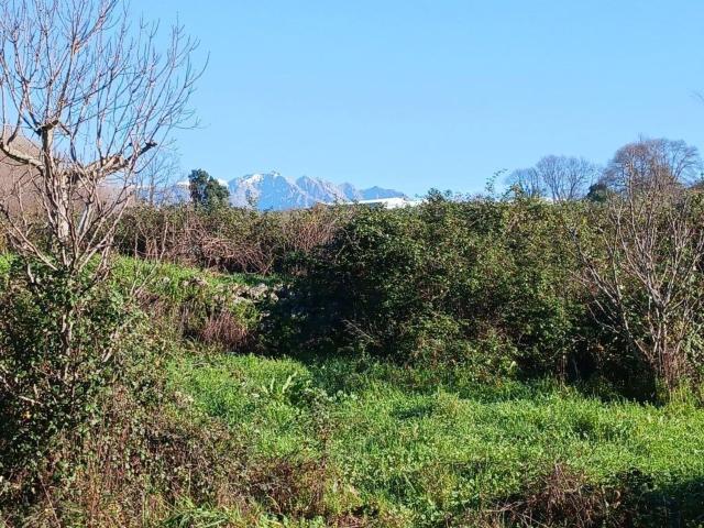 Terreno, Villanueva de la Vera