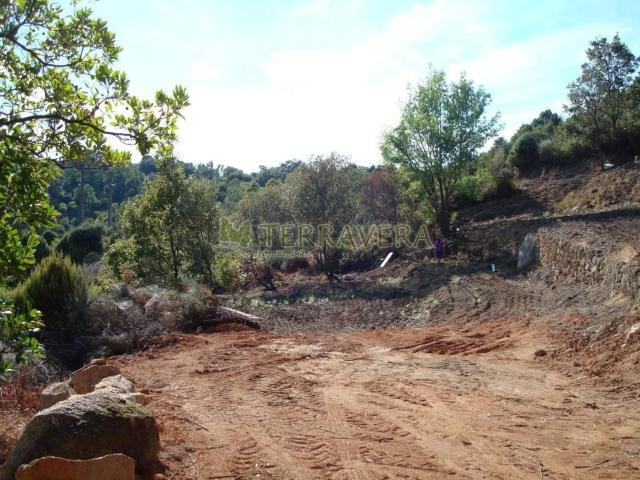 Terreno, Villanueva de la Vera