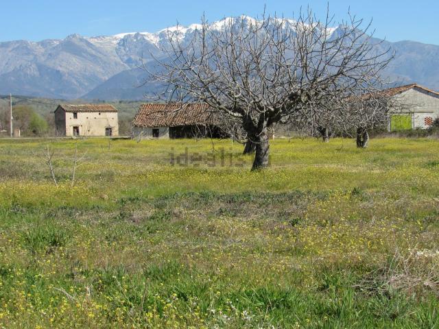 Terreno, Villanueva de la Vera