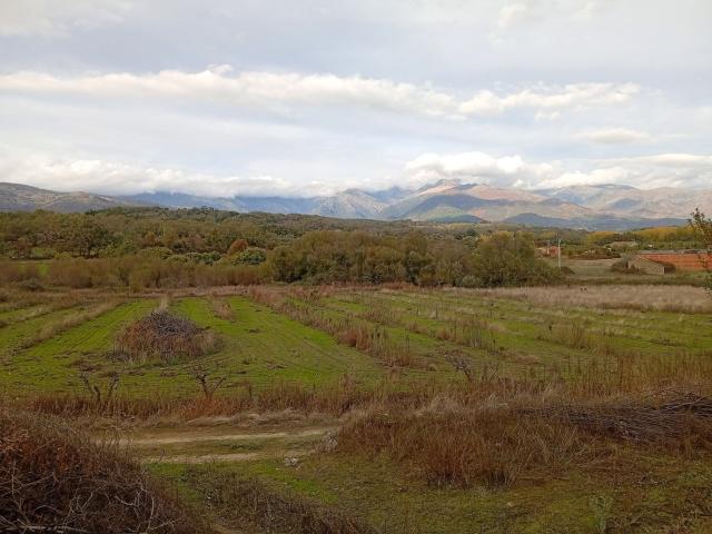 Terreno, Villanueva de la Vera