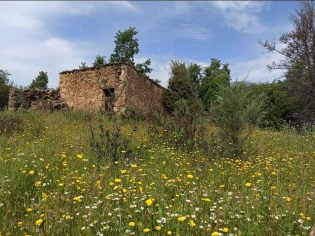 Terreno, Villanueva de la Vera