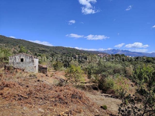 Terreno, Villanueva de la Vera