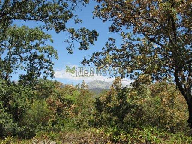Terreno, Villanueva de la Vera