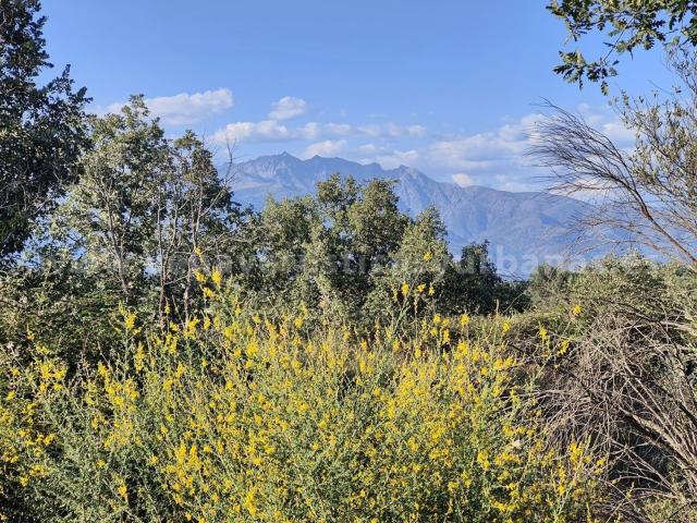 Terreno, Villanueva de la Vera