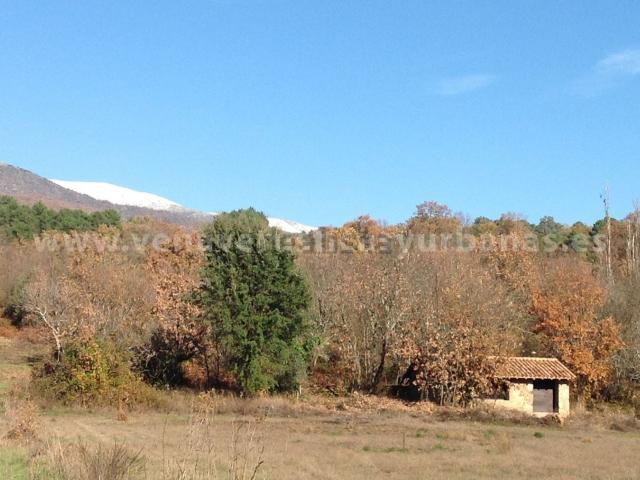 Terreno, Villanueva de la Vera