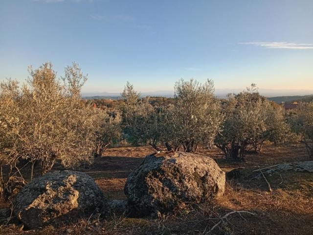 Terreno, Villanueva de la Vera