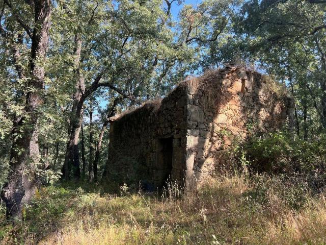 Terreno, Villanueva de la Vera