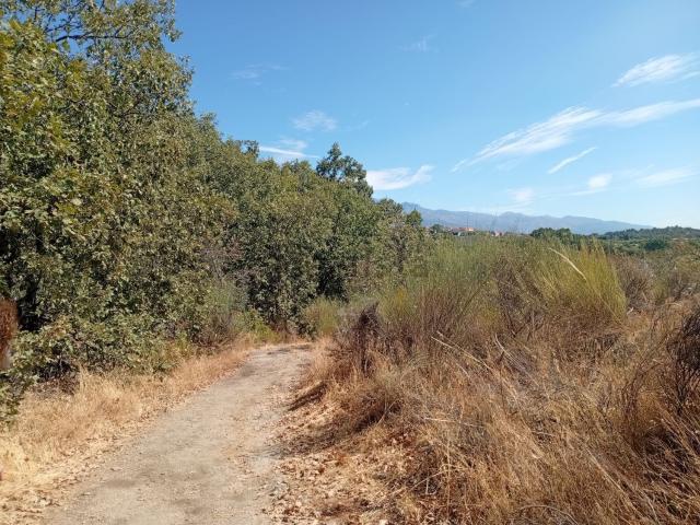 Terreno, Villanueva de la Vera