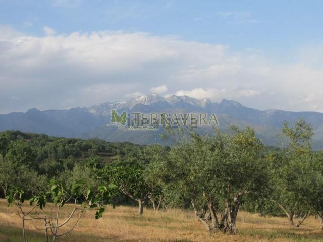 Terreno, Villanueva de la Vera