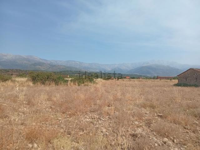 Terreno, Villanueva de la Vera