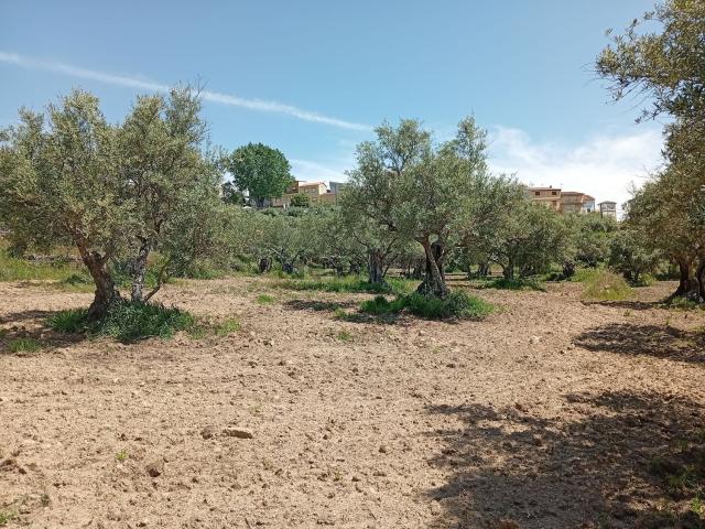 Terreno, Villanueva de la Vera