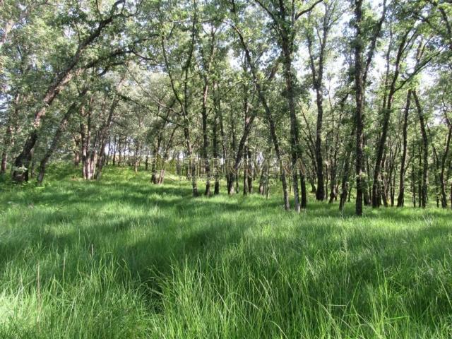 Terreno, Villanueva de la Vera
