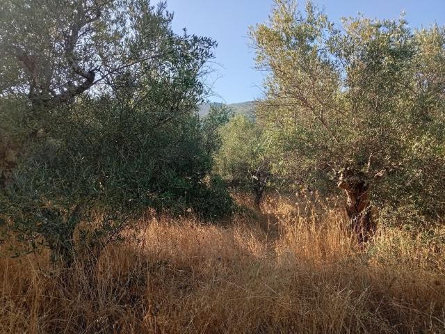 Terreno, Villanueva de la Vera