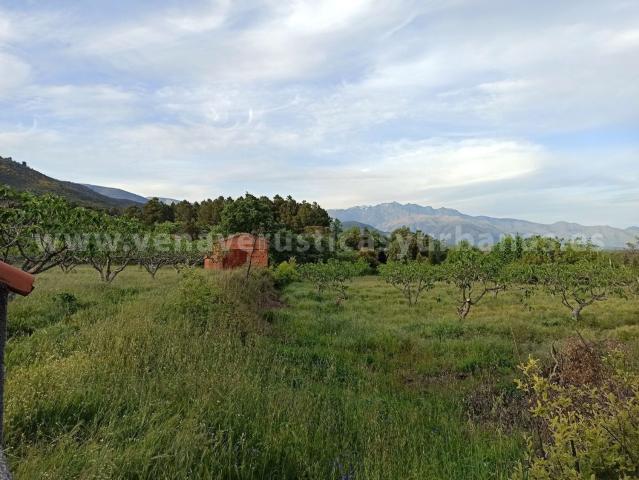 Terreno, Villanueva de la Vera