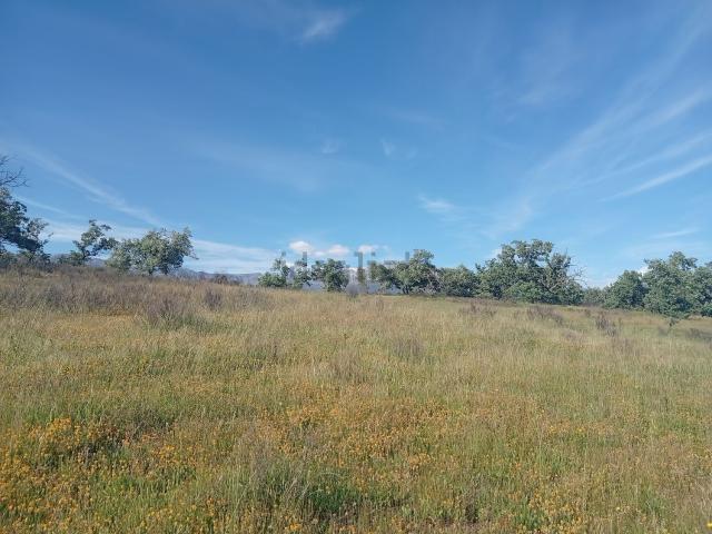 Terreno, Villanueva de la Vera