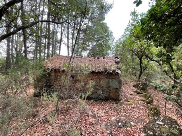 Terreno, Villanueva de la Vera