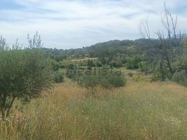 Terreno, Villanueva de la Vera