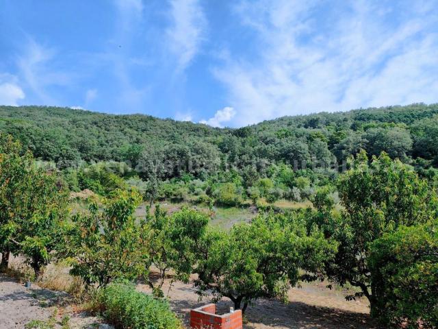 Terreno, Villanueva de la Vera