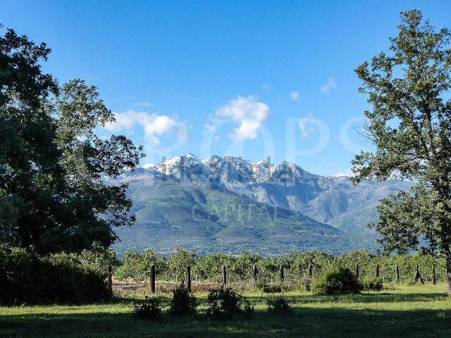 Terreno, Villanueva de la Vera