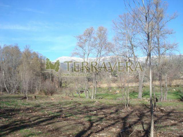 Terreno, Villanueva de la Vera