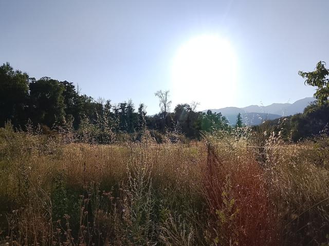 Terreno, Villanueva de la Vera