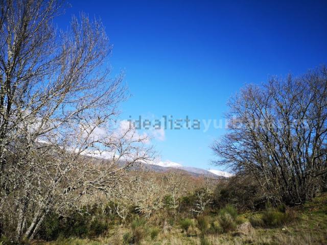 Terreno, Villanueva de la Vera