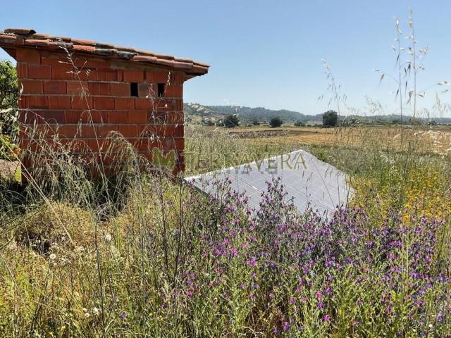 Terreno, Villanueva de la Vera
