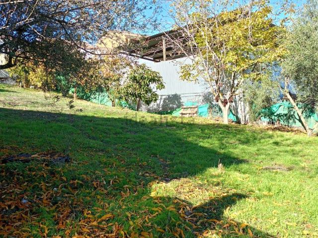 Terreno, Villanueva de Tapia