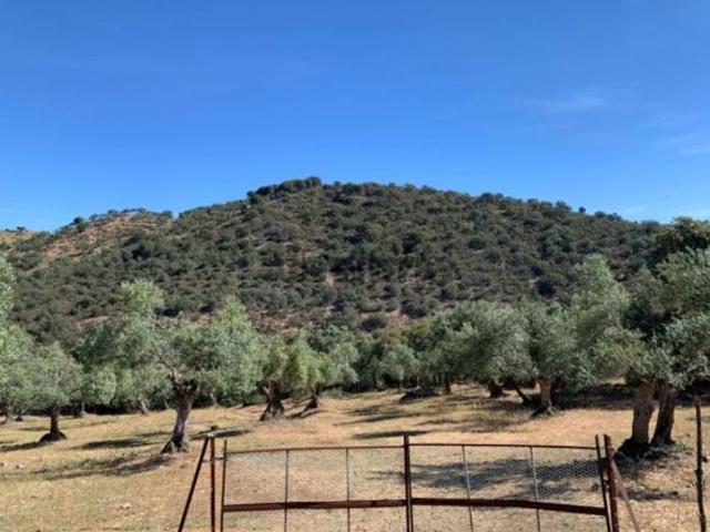 Terreno, Villanueva del Rey