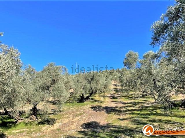 Terreno, Villanueva del Trabuco