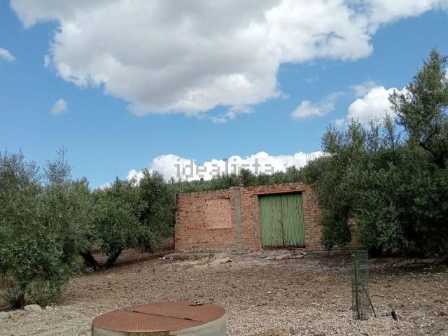 Terreno, Villanueva del Trabuco