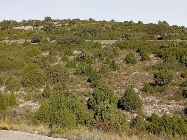 Terreno, Villar de Canes