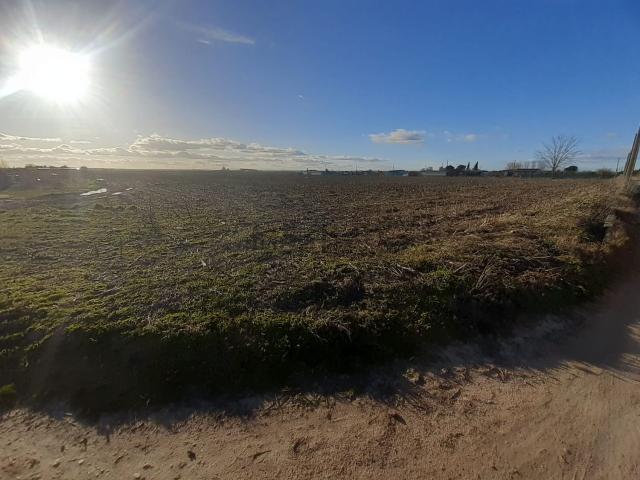 Terreno, Villaralbo
