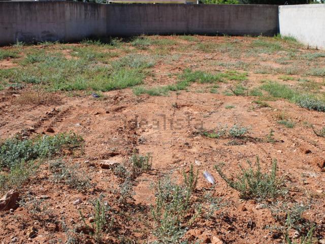 Terreno, Villarreal/Vila Real