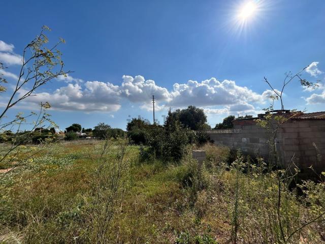 Terreno, Villarreal/Vila Real